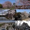 2011年の桜／京都～長浜～大阪