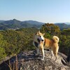 犬のストレスには山登り！