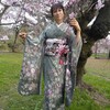 古都を振袖でめぐる花紀行🌸　Take-FIVE!　京都御苑でいろんな桜を愛でて、振袖フリフリしながらシトシトと歩き回った👘