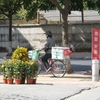 Yakult Lady in China