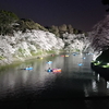 【千代田さくら祭り】千鳥ヶ淵　満開の桜　夕景～夜景