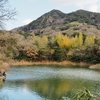 大池（兵庫県神戸）