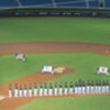 世界12強棒球賽 日本 vs 美利堅 ＠ 桃園國際棒球場
