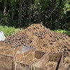 よい陽気だけど　風の強い日でした