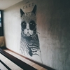 【猫好き必見】バンコクのイチオシ宿Cazz Hostel