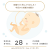 36w。妊婦健診。お腹の出具合の比較。