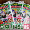 我が家のミニミニ菜園。