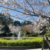 あっちもこっちも落ち目