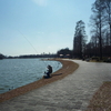 都内最大の『 水郷公園 』葛飾区 【 水元公園 】　🦢