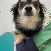 まろにー2282日目