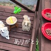 犬ごはん用信州鹿肉の販売[Online shop]