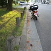 抜け殻街道