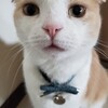 安心出来る居場所(^^)v