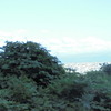 北本妙寺林道→金峰山林道天福寺側2025.8月