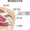 治療しながら野球も上手くなる！？〜トレーニング編〜　④