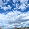 強風伴う豪雨が去りまして