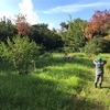 森のひとつむぎての日