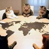 子供たちの株取引