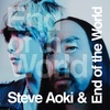 Steve Aoki & End Of The World - End Of The World 歌詞&和訳