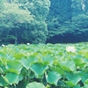 July 21 クッタクタ