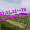 2023,11,11～12 トラックバイアス結果 (東京競馬場、京都競馬場、福島競馬場)