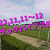 2023,11,11～12 トラックバイアス結果 (東京競馬場、京都競馬場、福島競馬場)