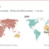 ポリオ患者がアフリカでは3年間でゼロ！