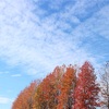 ひなたぼっこ🌤