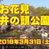 【お花見・２０１８】［井の頭公園］【う山ＴＶ（バラエティ）】［２０１８年３月３１日］