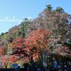 ＊高尾山　紅葉真っ只中すぎて登るのを諦めた話(;´∀｀)＊