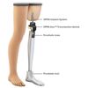 骨直結型義足（Osseointegrated prosthesis）