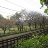 北山公園（東京都東村山市）