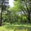 神代植物公園（東京都調布市）