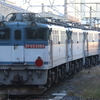 【大宮更新色消滅へ？】EF65 2060、2063、2065 大宮へ廃車回送 EF65 4重単！ 