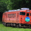 天北HMヨンマルを撮る その1　小湊鉄道キハ40×JR北海道コラボHM撮影記　天北編②
