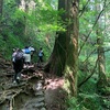 初めての登山、おもてなし高尾山6号路