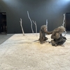 独裁の国のメディア