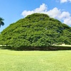 日常の無意識の習慣を変え、生きたい人生を創る
