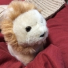 編みかけ帽子とライオンちゃん