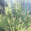 自助グループに参加して