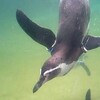 葛西臨海水族園へ行く