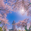 恋する灯台に春