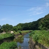 その、まさか。