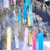 願いごとが吊るせます：櫛田神社の七夕飾り