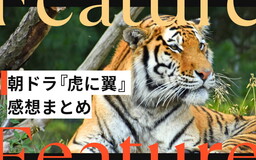 【感想まとめ】朝ドラ『虎に翼』を観て、ふと感じる「男女の溝」を考える、以前は気に留めなかったニュースに手を止める。