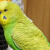 ９月１４日の相場を見てみたよ　チュン