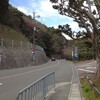 曇り 勝尾寺～妙見山～大野山～野間峠