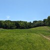 武蔵野公園はワイルドな場所だった