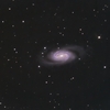 ＮＧＣ２９０３：しし座の渦巻銀河