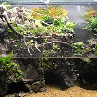 作り方の注意点を解説 滝と池がある盆栽アクアテラリウムを作る 前回の反省と土台制作 Diyなアクアリウム
